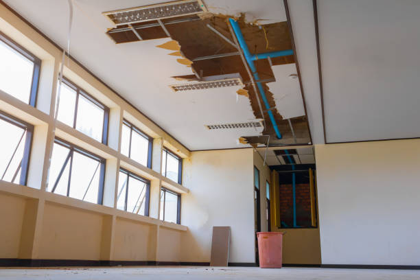  Ville Ptte, LA Water damage restoration Pros