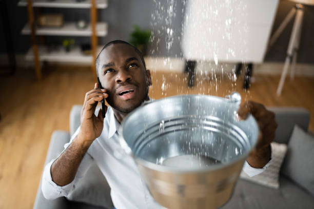 Best Water damage restoration near me  in Ville Ptte, LA
