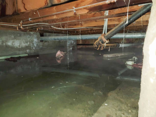 Best Residential water damage restoration  in Ville Ptte, LA