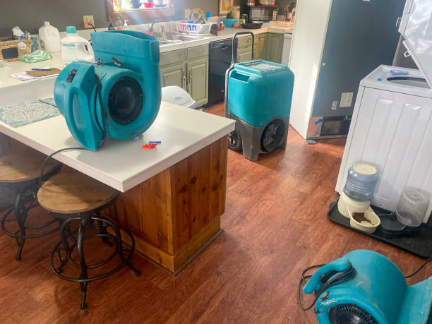 Best Local water damage restoration  in Ville Ptte, LA