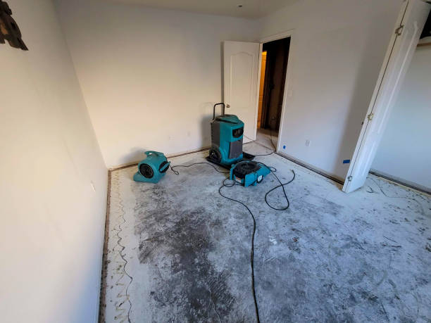 Best Emergency water damage restoration  in Ville Ptte, LA