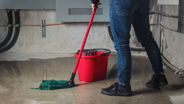 Best Water damage contractors near me  in Ville Ptte, LA
