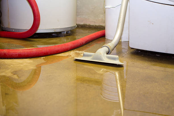 Best Carpet water damage restoration  in Ville Ptte, LA