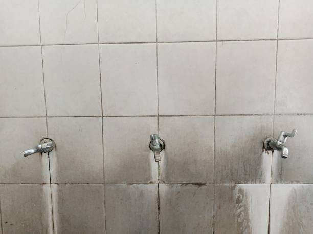 Best Flood restoration services  in Ville Ptte, LA