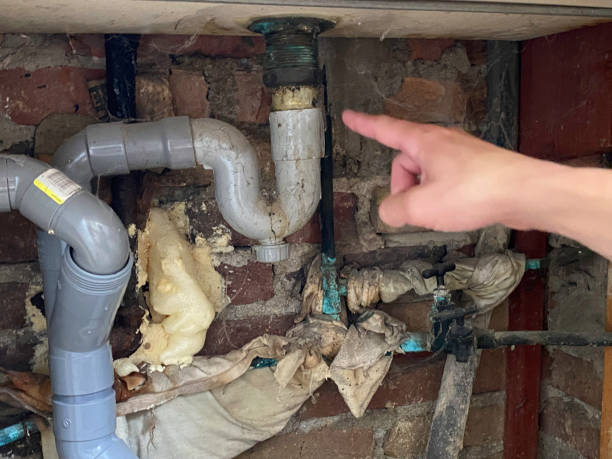 Best Mold removal after water damage  in Ville Ptte, LA