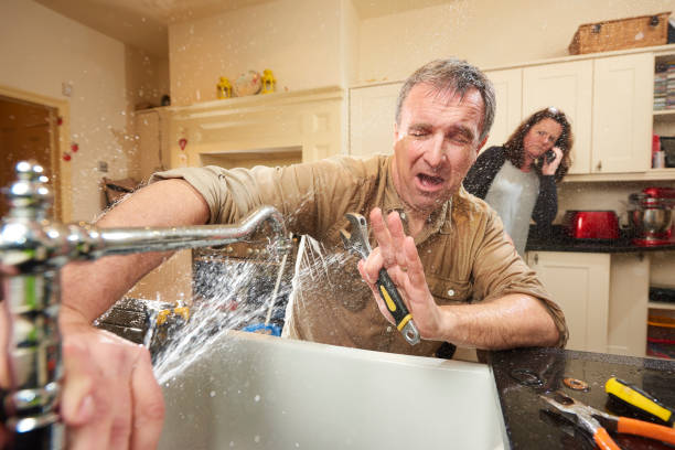 Best Flooded house restoration  in Ville Ptte, LA